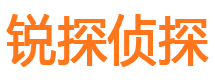 顺河外遇调查取证